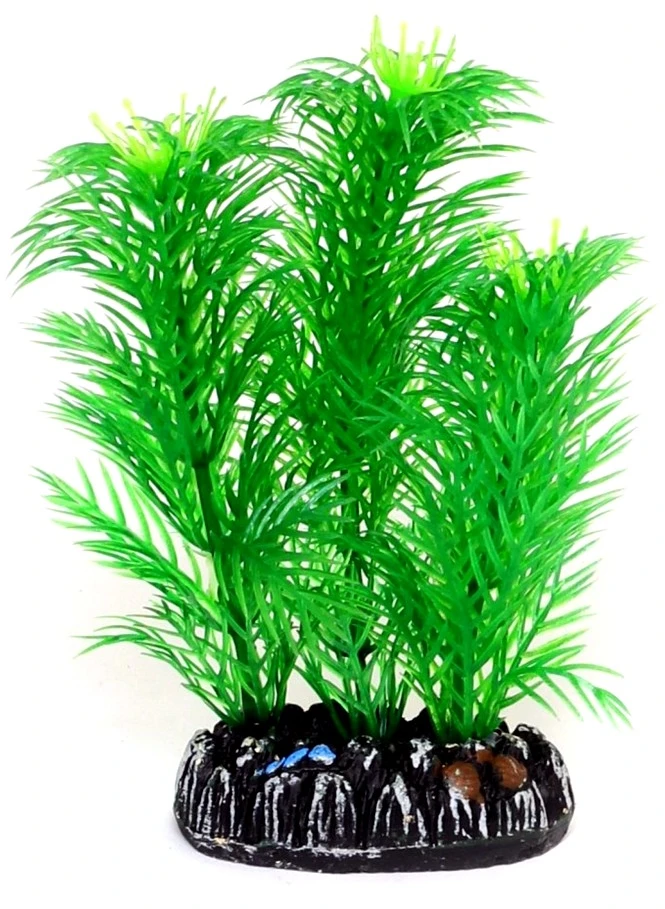 HOBBY Dirbtinė akvariumo augalų dekoracija „Egeria“