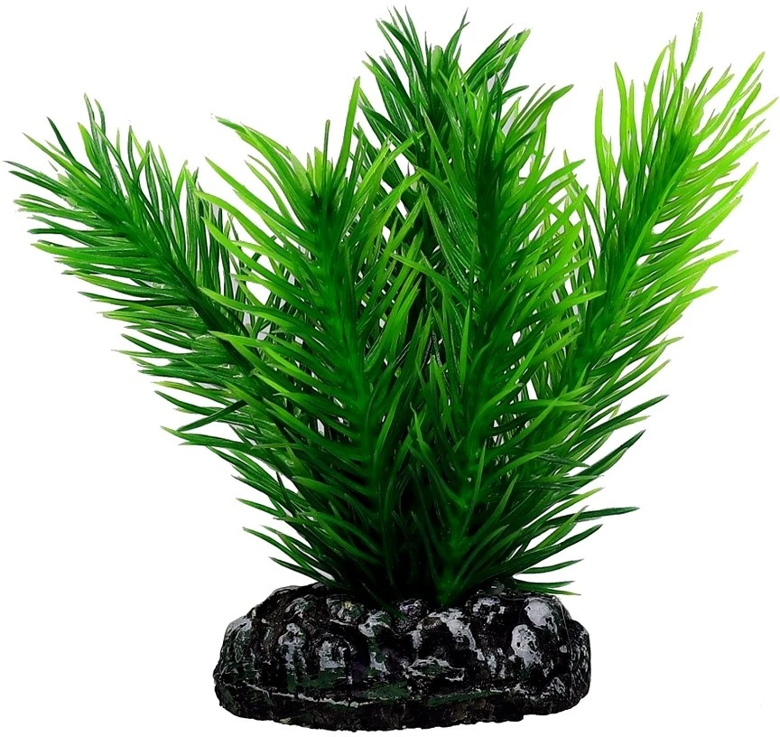 HOBBY Dirbtinė akvariumo augalų dekoracija Mayaca 7 cm