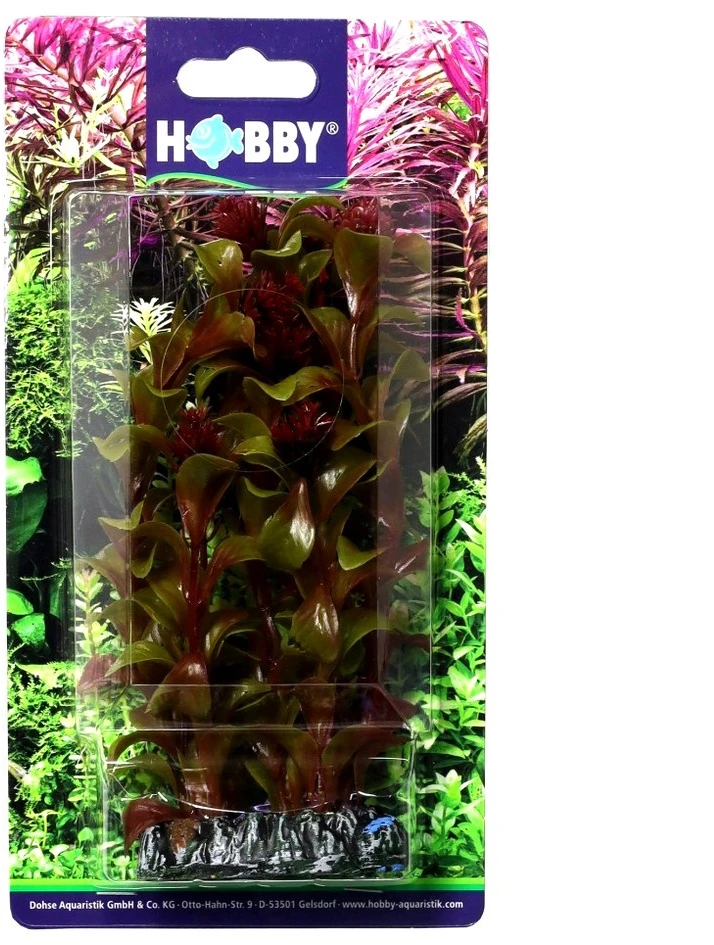 HOBBY Dirbtinė akvariumo augalų dekoracija „Rotala“