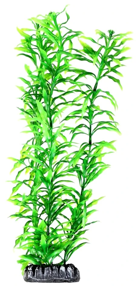 HOBBY Dirbtinė akvariumo augalų dekoracija, 34 cm