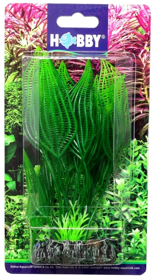 HOBBY Dirbtinė akvariumo augalų dekoracija Aponogeton