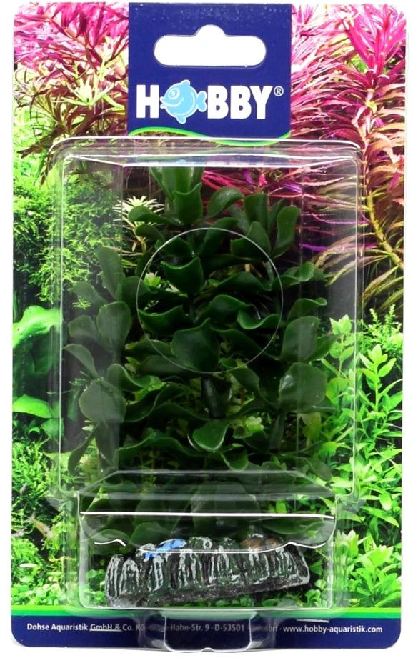 HOBBY Dirbtinė Bacopa akvariumo dekoracija, 13 cm