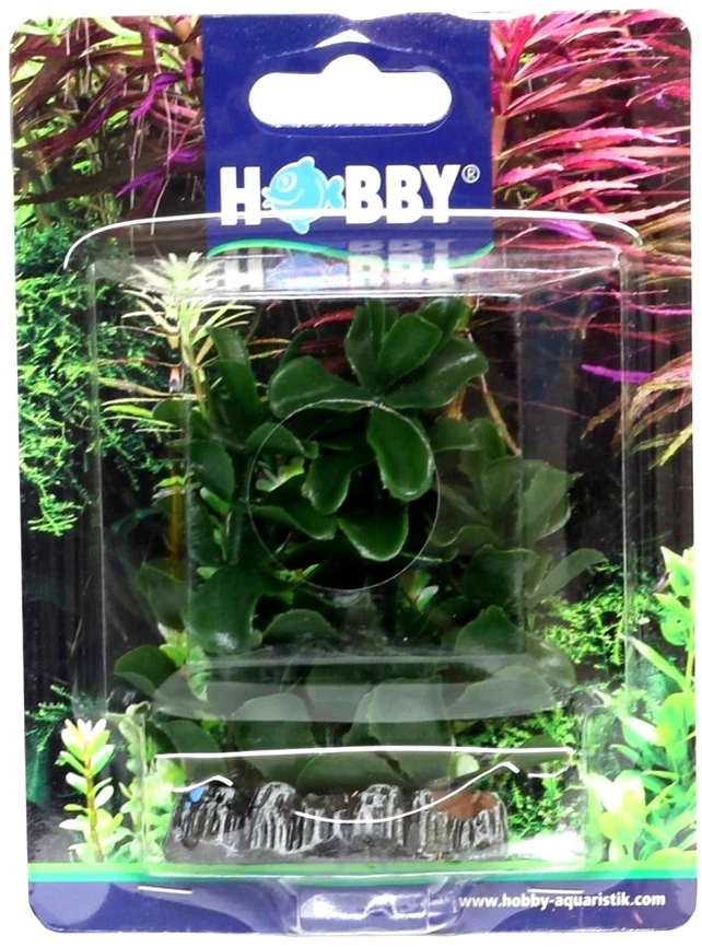 HOBBY Dirbtinė Bacopa akvariumo dekoracija, 7 cm