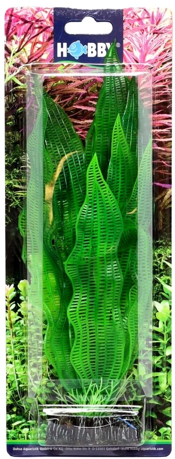 HOBBY Dirbtinis akvariumo augalas Aponogeton, 25 cm