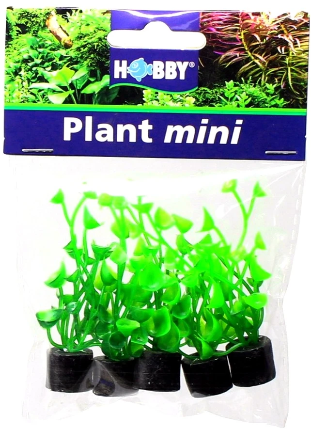 HOBBY Dirbtinis akvariumo augalas Cardamine mini