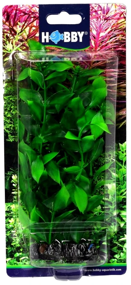 HOBBY Dirbtinis akvariumo augalas Hygrophila, 20 cm