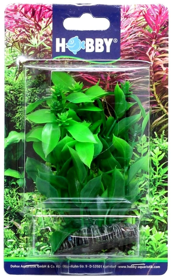 HOBBY Dirbtinis akvariumo augalas Hygrophila, 13 cm