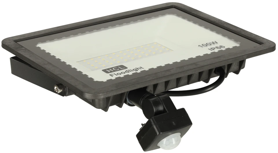 Ikonka Lauko LED prožektorius su judesio jutikliu, 100W