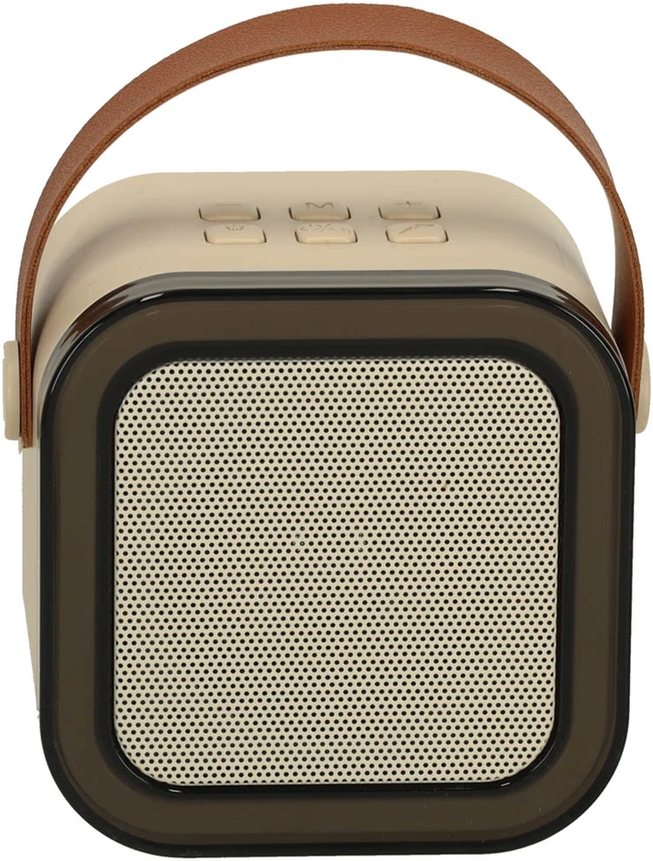 Ikonka Karaokės rinkinys 2 mikrofonai + nešiojamas garsiakalbis BLUETOOTH USB LED smėlio spalvos