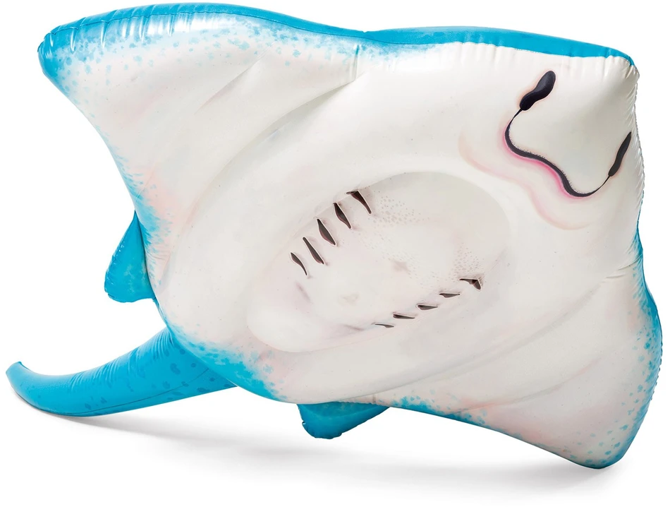 Pripučiamas plaustas INTEX Stingray 188x145cm