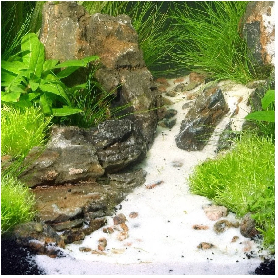 JBL Aqua JBL baltas akvariumo podžemis 5kg