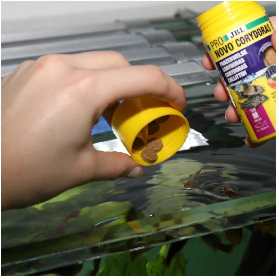 JBL Aqua JBL Corydoras akvariuminių žuvų maistas 100 ml