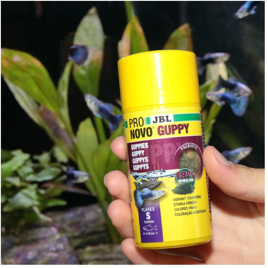 JBL Aqua JBL Guppy Flakes 100 ml žuvų maistas