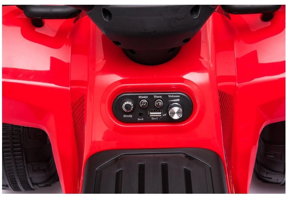Lean Cars Vaikiškas elektrinis keturratis Quad JS320