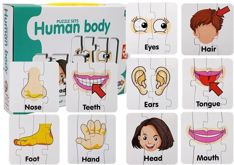 Lean Toys Edukacinė dėlionė