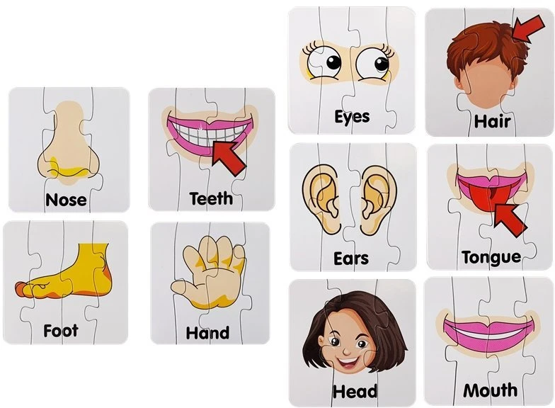 Lean Toys Edukacinė dėlionė