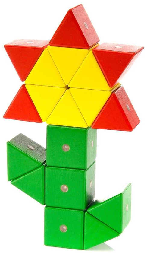 WABI medinės magnetinės kaladėlės 80 vnt.