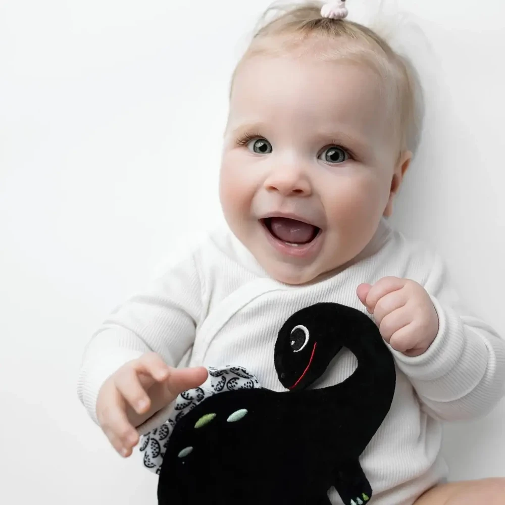 Mom's Care HENCZ 123 Dinozaurų ošiantis kontrastinis audinys
