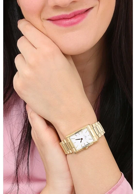 Moteriškas laikrodis DANIEL WELLINGTON 24mm Bound 3-Link DW00100703 + BOX
