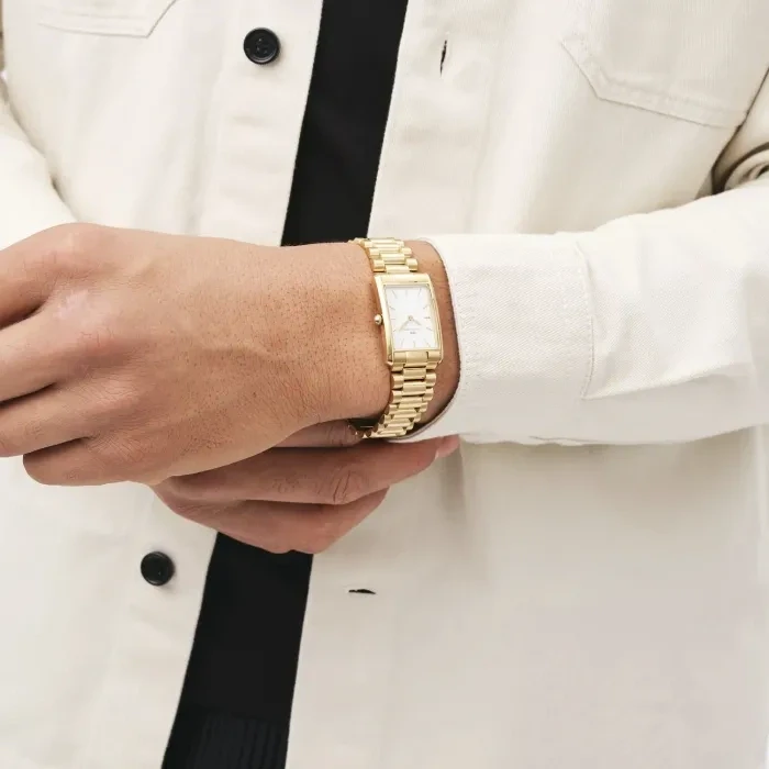 Moteriškas laikrodis DANIEL WELLINGTON 24mm Bound 3-Link DW00100703 + BOX