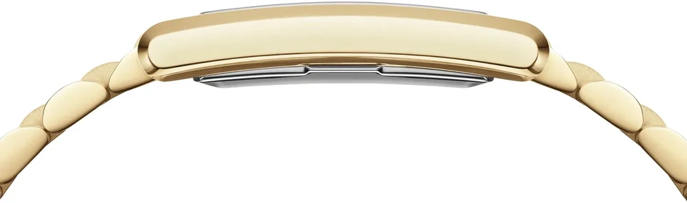 Moteriškas laikrodis DANIEL WELLINGTON 24mm Bound 3-Link DW00100703 + BOX
