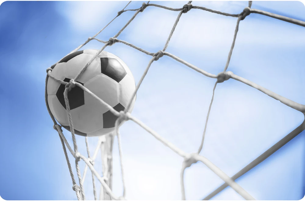 Neo-Sport futbolo vartų tinklas 215 x 150 x 90 cm