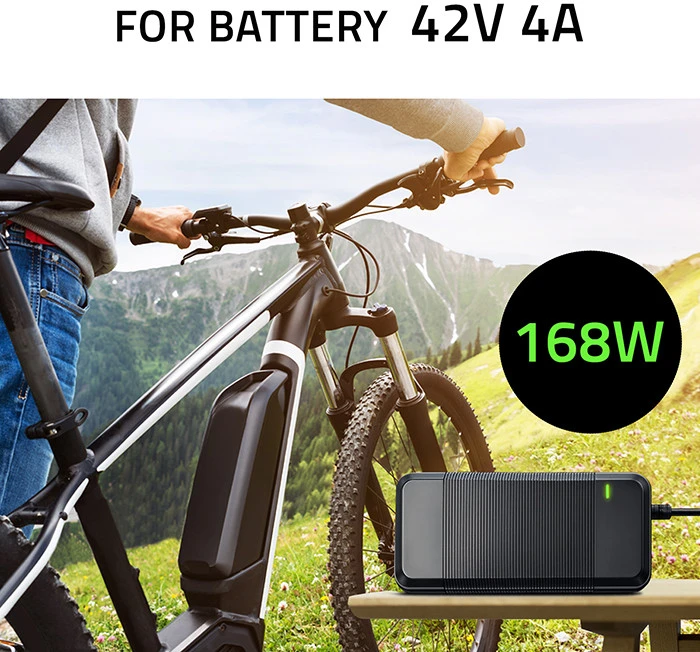 Qoltec greitas įkroviklis elektriniam dvir. 36V 42V 4A 5.5x2.1 su kabeliu