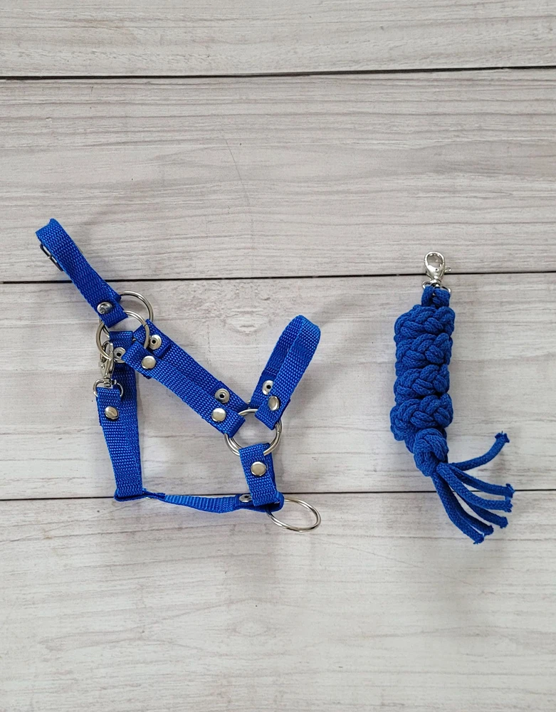 Super Hobby Horse Hobby Horse skirtas mėlynas kamanų ir pavadžio rinkinys