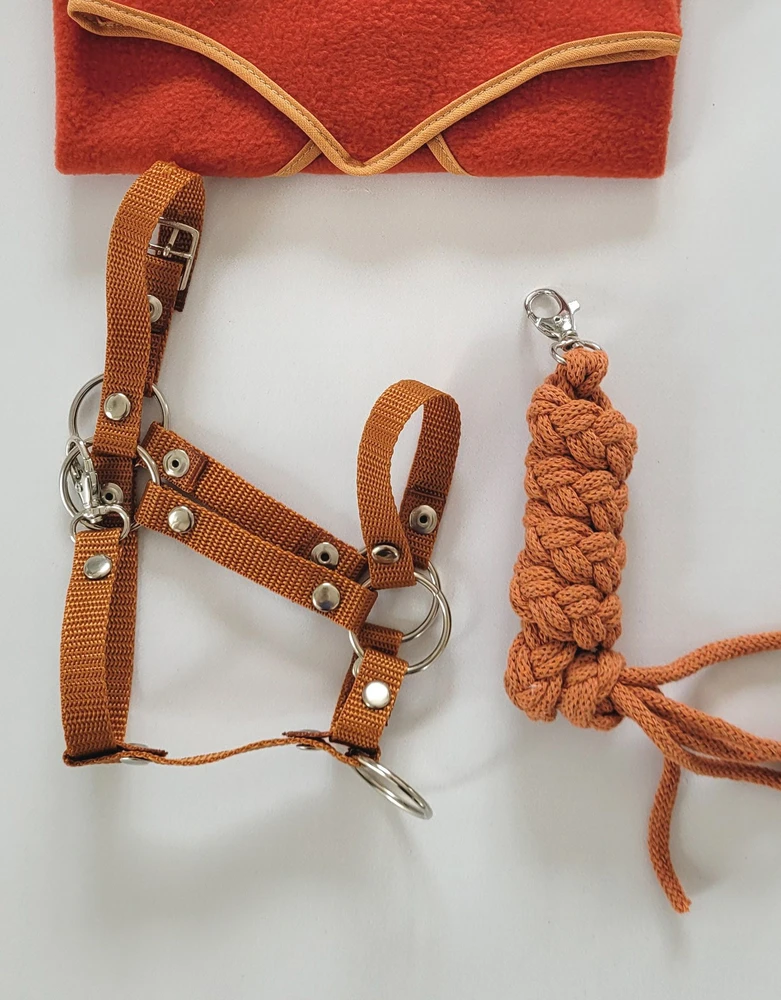 Super Hobby Horse hobby horse skirtas kantaras ir pavadėlis ginger spalvos