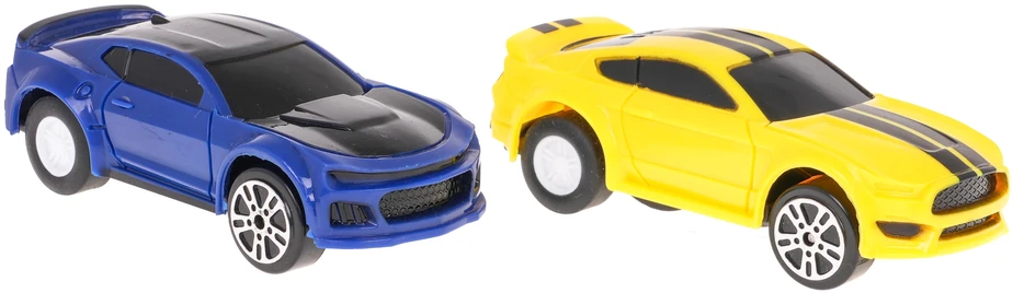 Ramiz Cars Lenktynių trasa dviem automobiliams