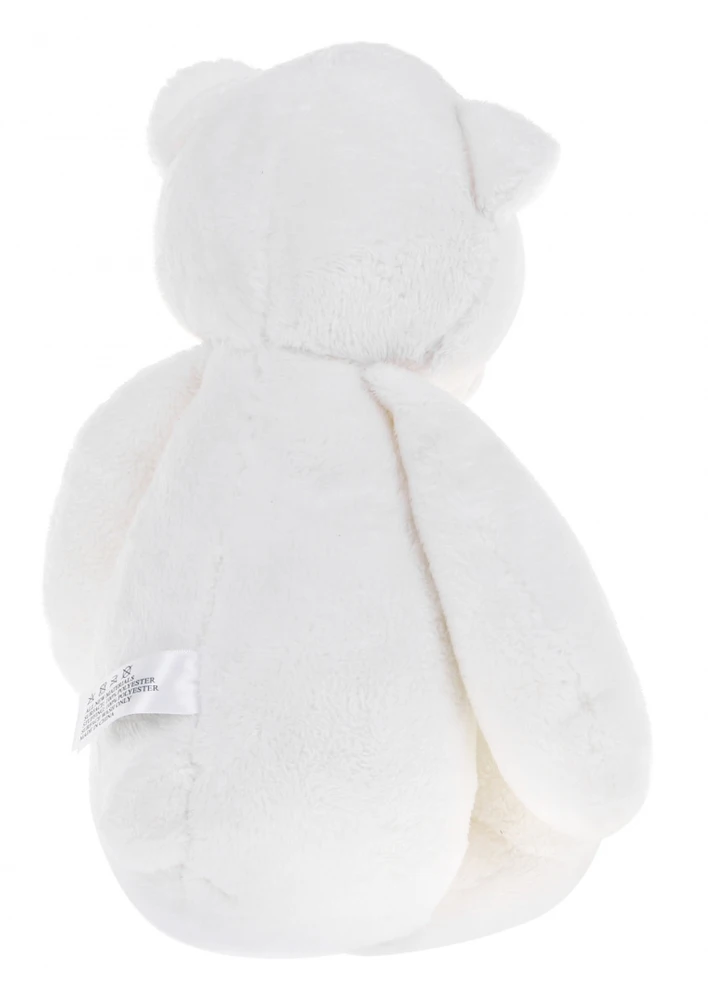 Ramiz Bear Meškiukas su Pasaulio garsų funkcija