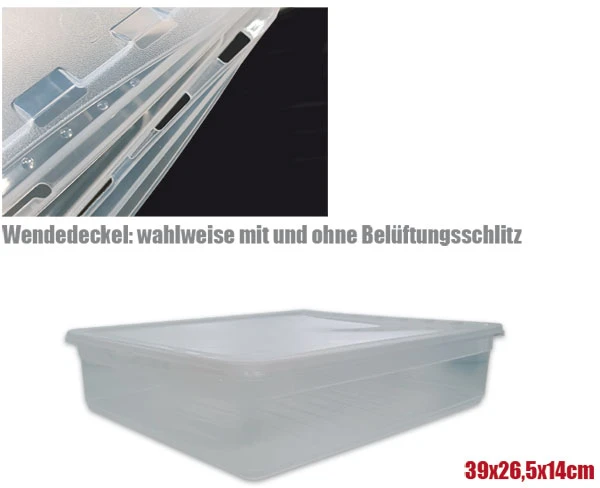 Keeeper Box Bea indas skaidrus 11l