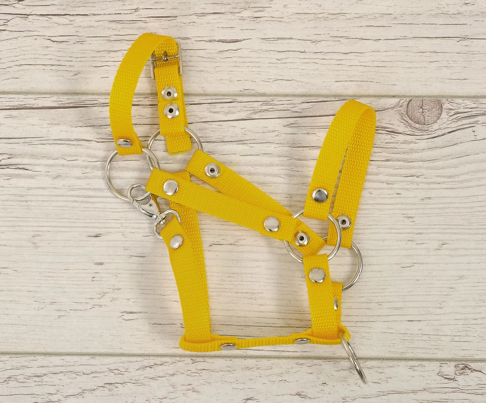 Super Hobby Horse Reguliuojamas kantaras hobi arkliukui A3 – geltonas