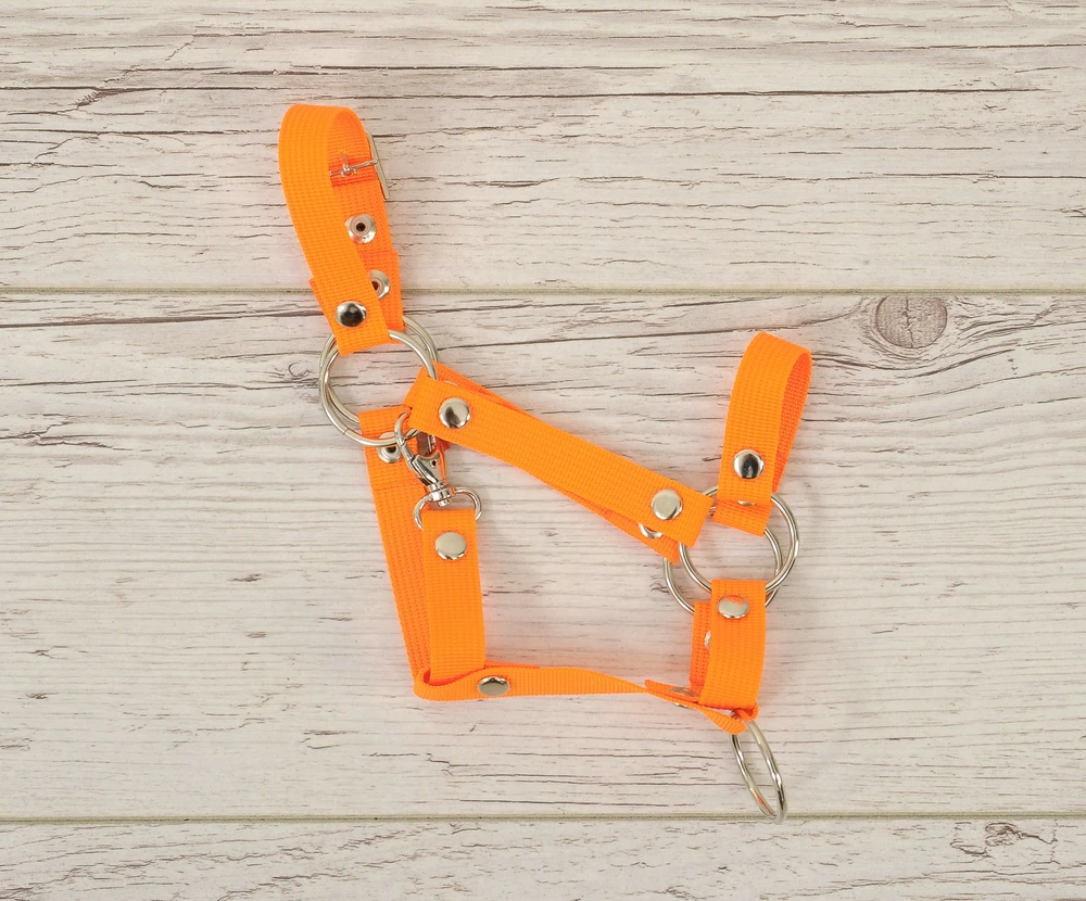 Super Hobby Horse Reguliuojamas kantaras hobi arkliukui – neoninis oranžinis
