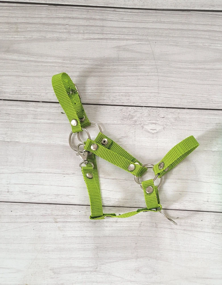 Super Hobby Horse Reguliuojamas kantaras hobi arkliukui A3 – laimo spalvos