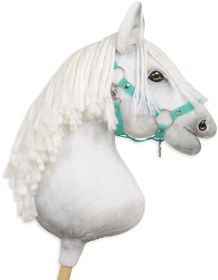 Super Hobby Horse Reguliuojamas kantaras hobi arkliukui A3 – mėtų spalvos