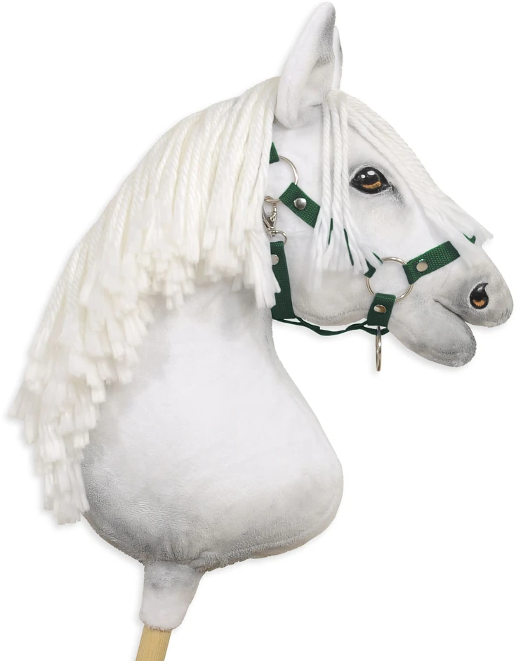 Super Hobby Horse Reguliuojamas kantaras hobi arkliukui A3, butelių žalios spalvos