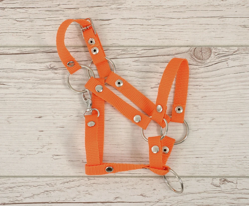 Super Hobby Horse Reguliuojamas kantaras hobi arkliukui – oranžinis
