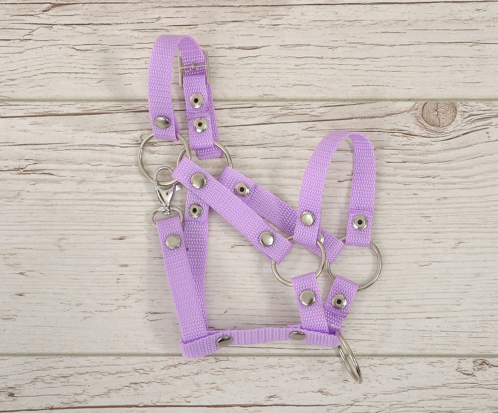 Super Hobby Horse Reguliuojamas kantaras hobi arkliukui A3 violetinis