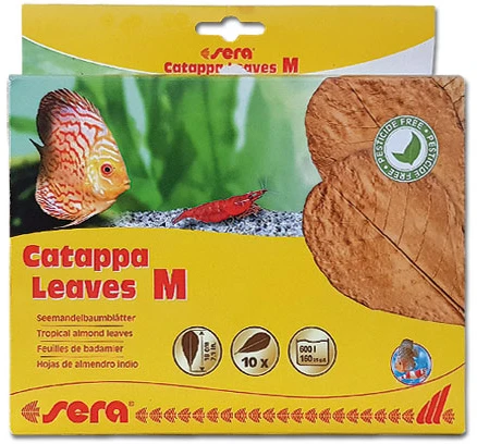 SERA Catappa lapai M 18 cm