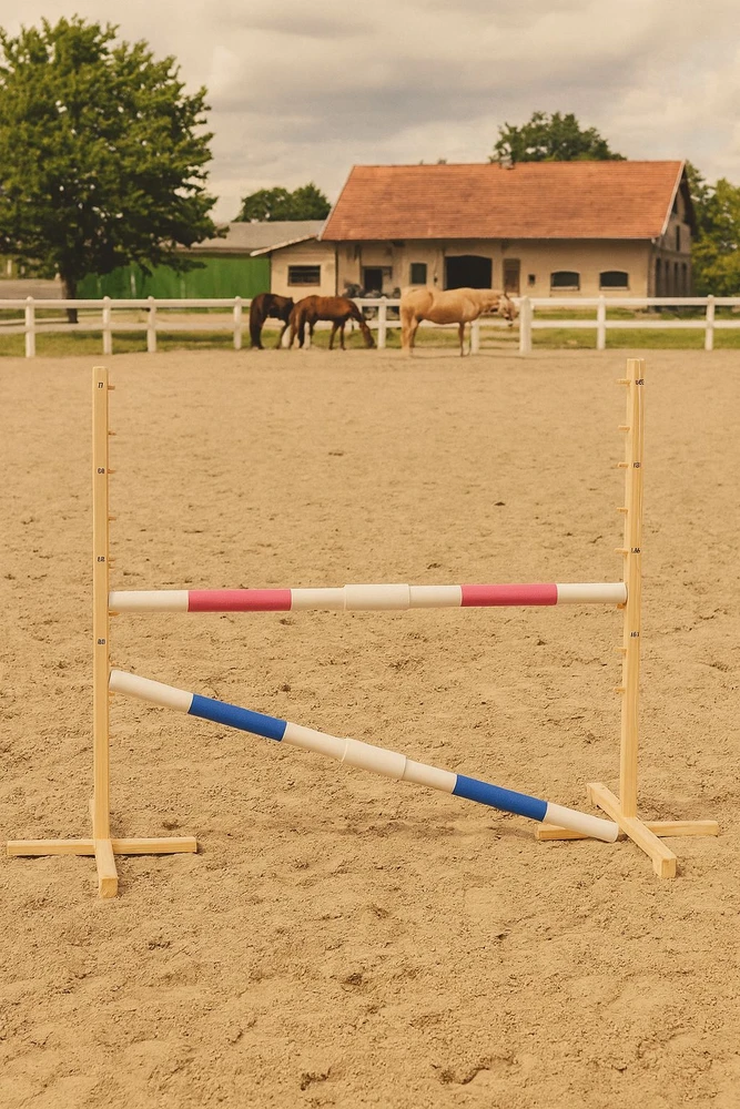 Super Hobby Horse Šokinėjimo kliūtis Hobby Horse rožinė ir mėlyna