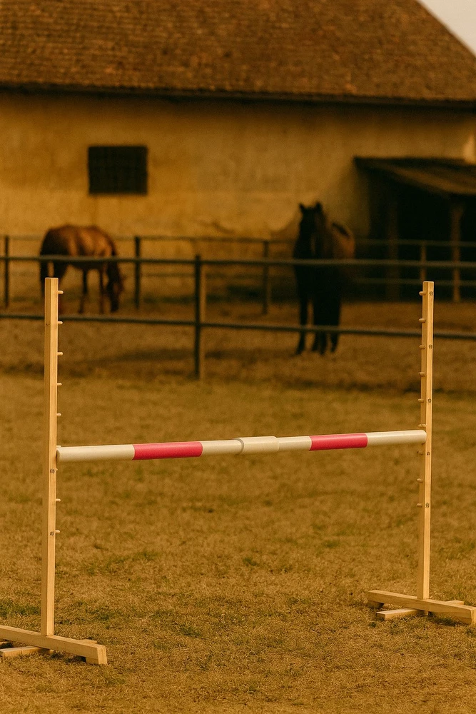 Super Hobby Horse Šuolių kliūtis Hobby Horse su rožine sija 120 cm