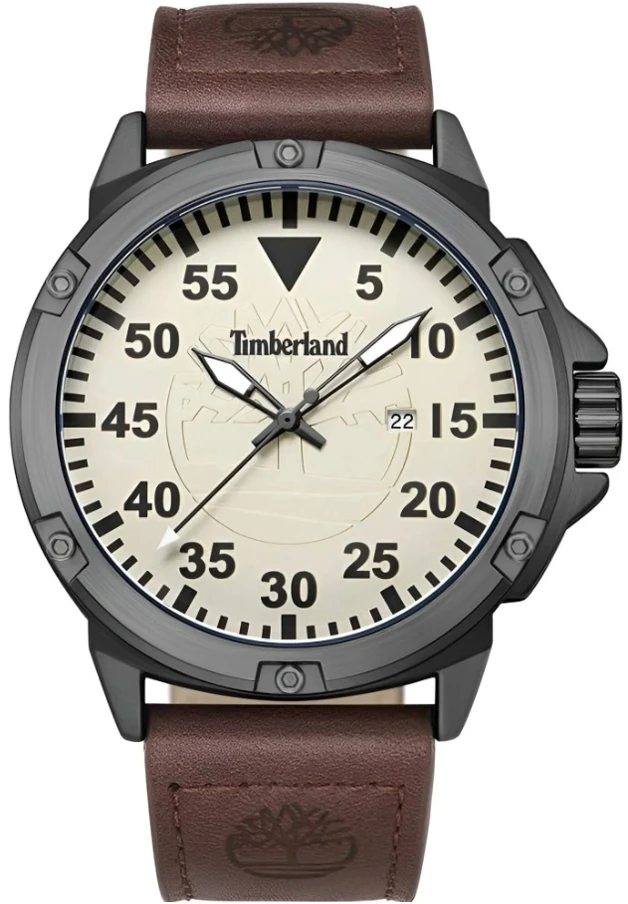 Vyriškas laikrodis Timberland TDWGB9002802 + BOX