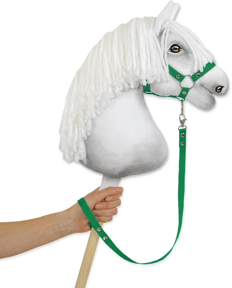Super Hobby Horse Pavadėlis hobi arkliukui, žalios spalvos