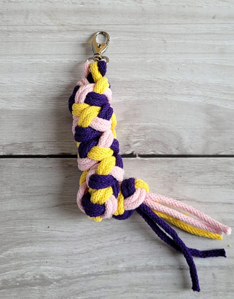 Super Hobby Horse Pavadėlis hobi arkliukui, rožinis/violetinis/geltonas