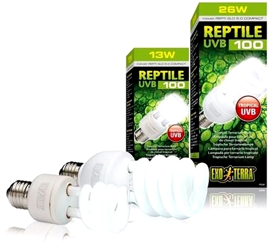 Exoterra Exo Terra - Roplių UVB 100 fluorescencinė lempa 13W E27 - (220.1870)