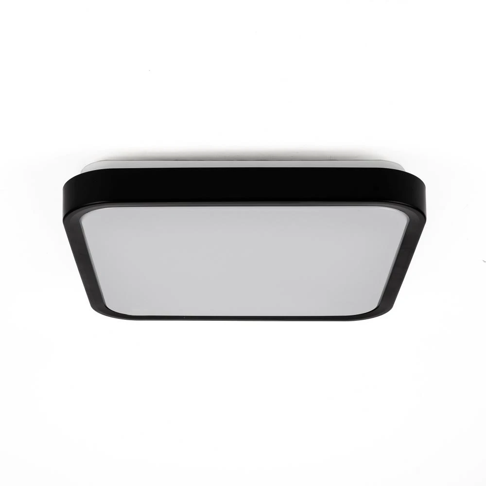 Sieninis šviestuvas 24W LED paviršinis šviestuvas, kvadratinis, juodu korpusu, 6500K, IP44