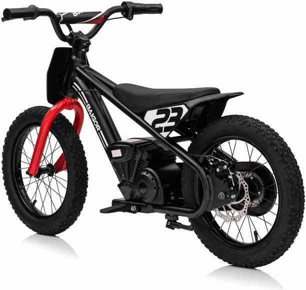 Elektrinis motociklas BAIGOR 23 PRO, Juodas