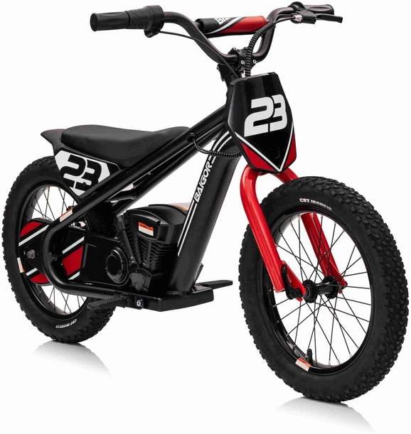 Elektrinis motociklas BAIGOR 23 PRO, Juodas