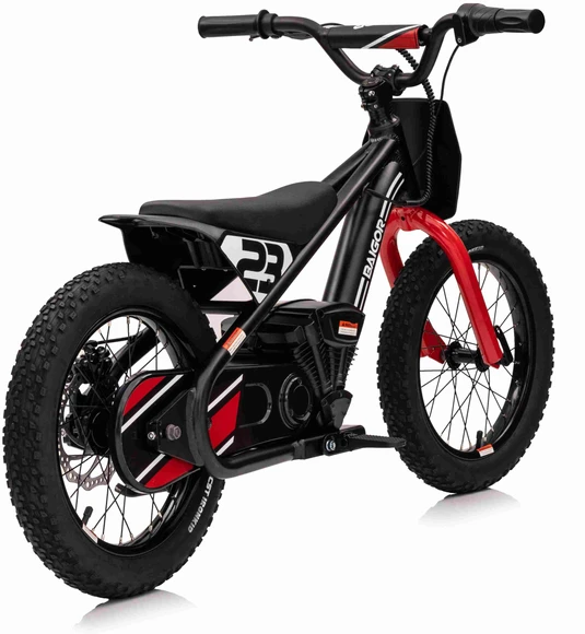 Elektrinis motociklas BAIGOR 23 PRO, Juodas